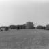 Mulberry Plantation House
