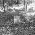 Middleburg Plantation Slave Cemetery