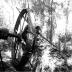 Middleburg Plantation Rice Mill (Ruins)