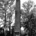 Middleburg Plantation Rice Mill (Ruins)
