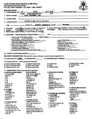 Bluff Plantation, The