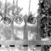 Mepkin Plantation, Family Cemetery, Laurens